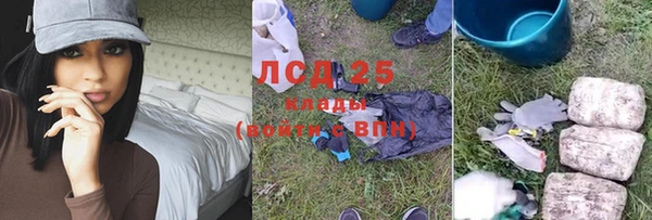 прущая мука Вяземский